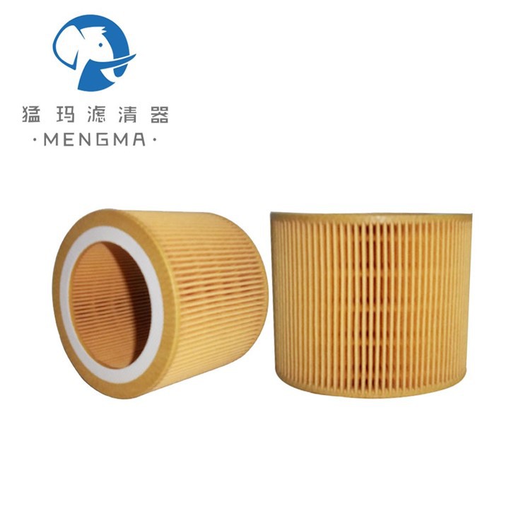 Kaeser Air Filter Replacement 6.2015.0