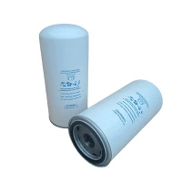 1100602001 Filtro Olio Per Compressore A Vite